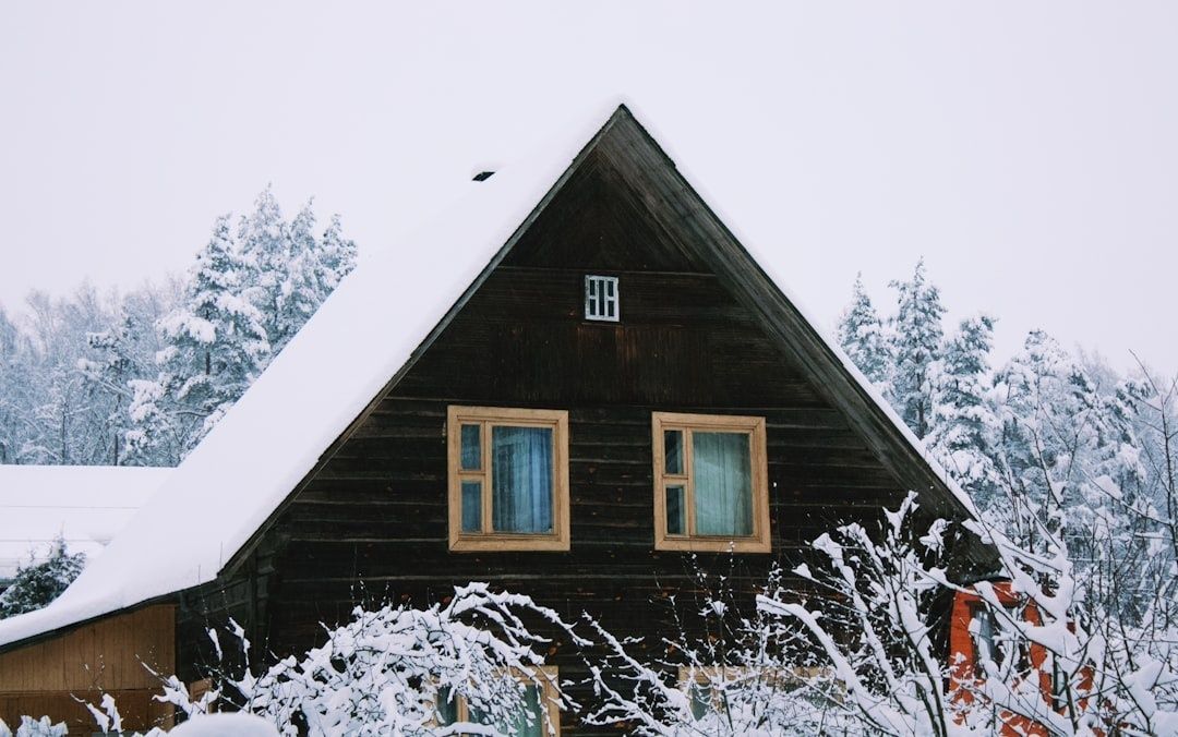 Avskilt mörkt trähus omgivet av snötäckta träd i vinterlandskap